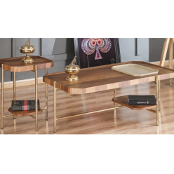 4142 Gold Ayaklı Atlantik Çam Orta Sehpa + 5052 Zİgon Sehpa