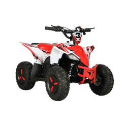 Arora Blade 1000W Elektrikli ATV Hızlı ve Çevik Sürüş